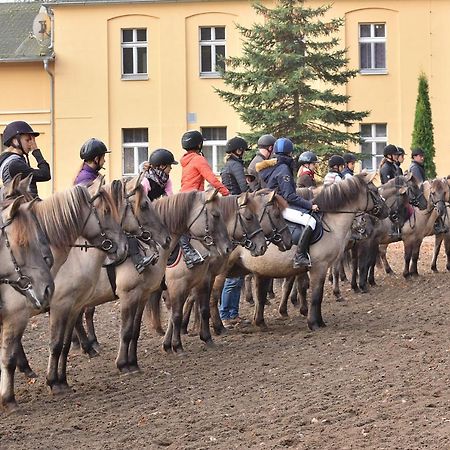 Stado Ogierow Sierakow Hotel Sierakow  Bagian luar foto