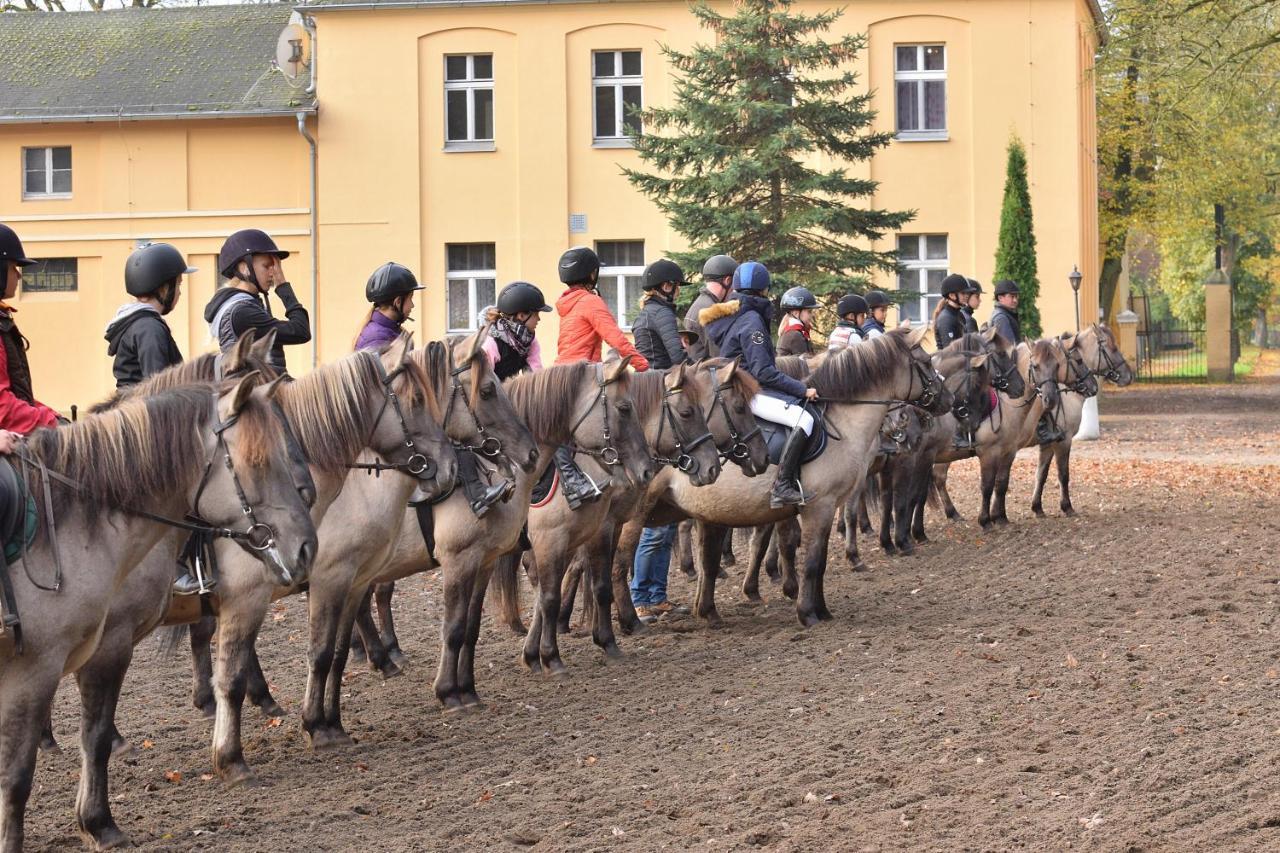 Stado Ogierow Sierakow Hotel Sierakow  Bagian luar foto